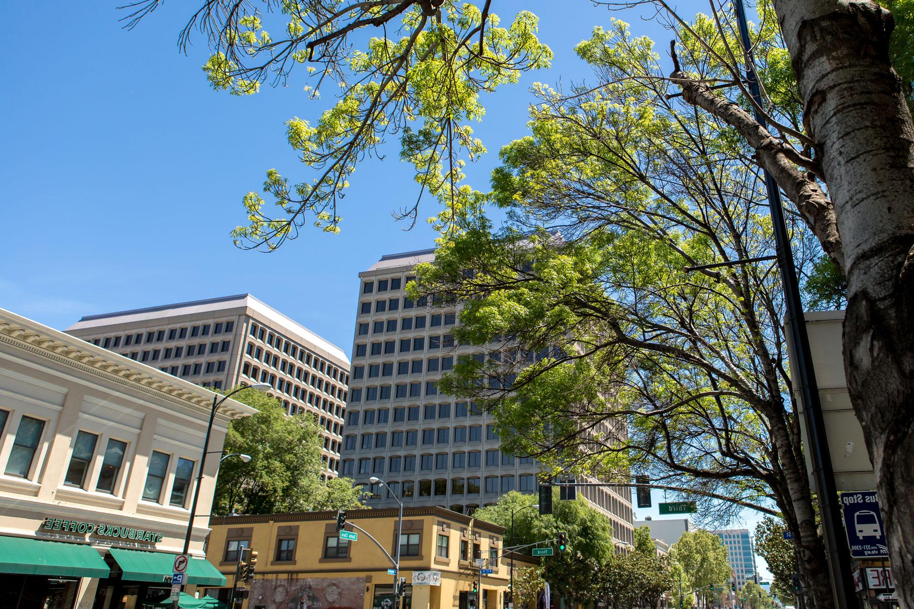 san jose convention and visitors bureau